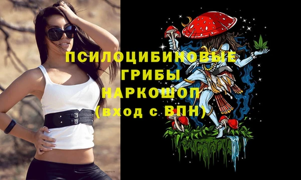 ECSTASY Тихорецк