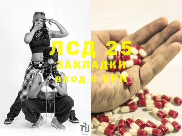 ГАЛЛЮЦИНОГЕННЫЕ ГРИБЫ Алексеевка