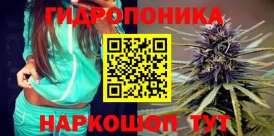 молекула духа Тулун