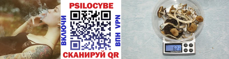 Псилоцибиновые грибы Cubensis  OMG зеркало  Одинцово  даркнет сайт 