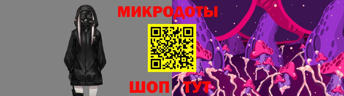 Псилоцибиновые грибы Psilocybine cubensis Одинцово